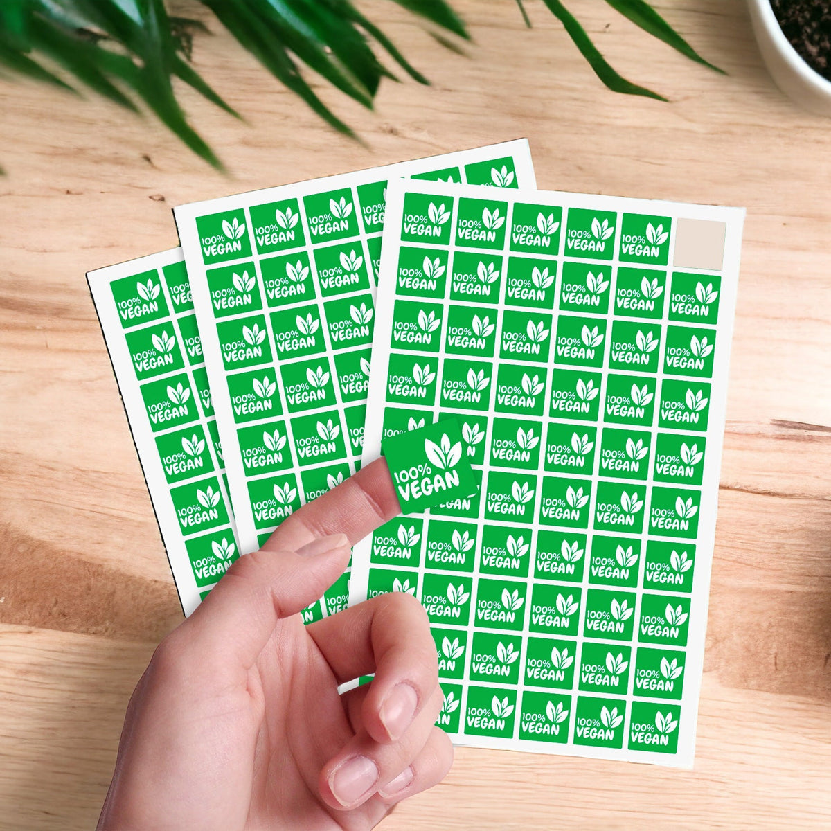 Zap! Creatives Square Labels - Vinyl