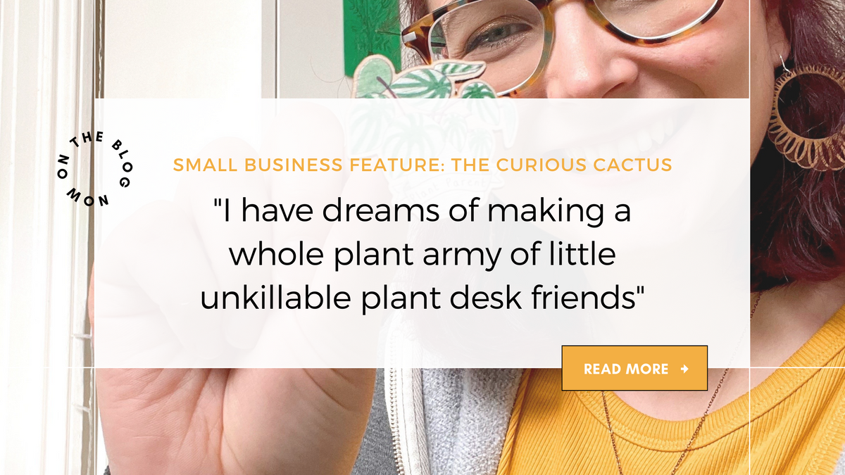 Small business feature: The Curious Cactus